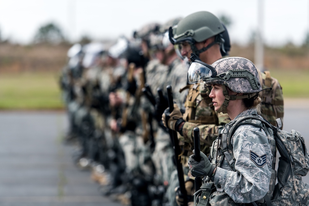 PATRIOT South - Crowd Management Training