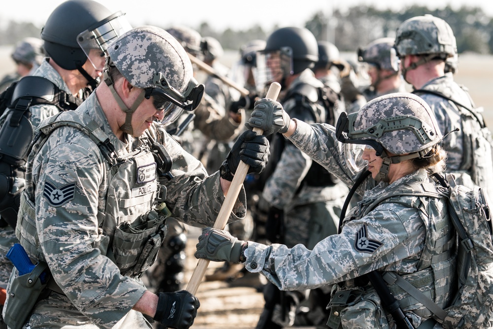 PATRIOT South - Crowd Management Training