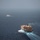 Chung-Hoon, HSM-37, Maersk Chicago participate in Lucky Mariner 19