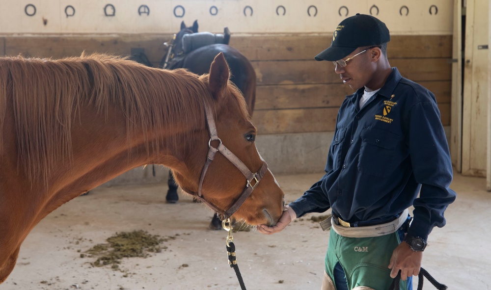 Home Is Where The Heart Is: Killeen Native Joins Horse Cavalry Detachment