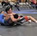 Armed Forces Wrestling