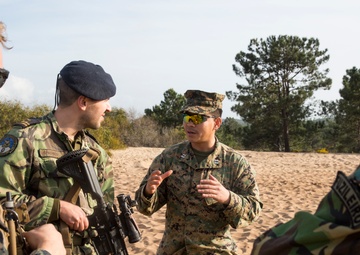 Talking Guns