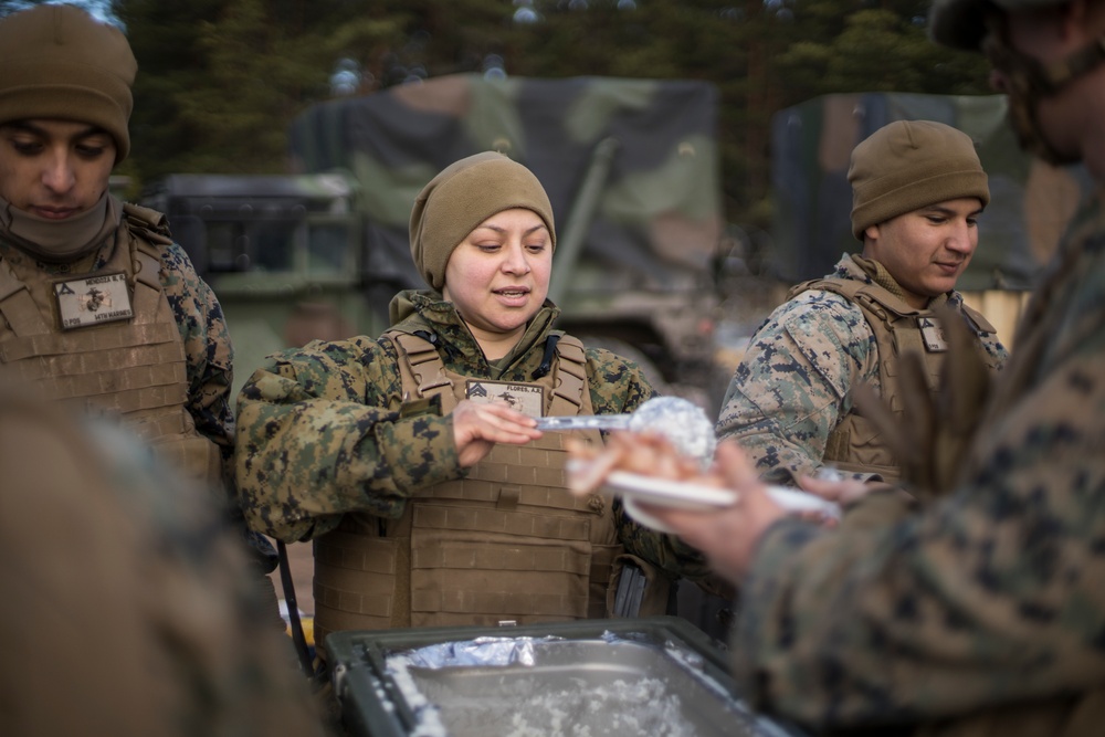 14th Marines Participate in Exercise Dynamic Front 19