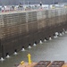 Mississippi River Locks Receive Winter Maintenance