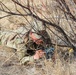 Soldiers conduct Sapper Stakes