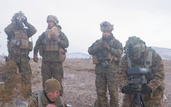 U.S. Marines, JGSDF soldiers call for fire at National Training Center 19-04
