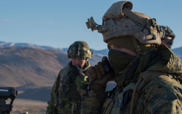 U.S. Marines, JGSDF soldiers call for fire at National Training Center 19-04