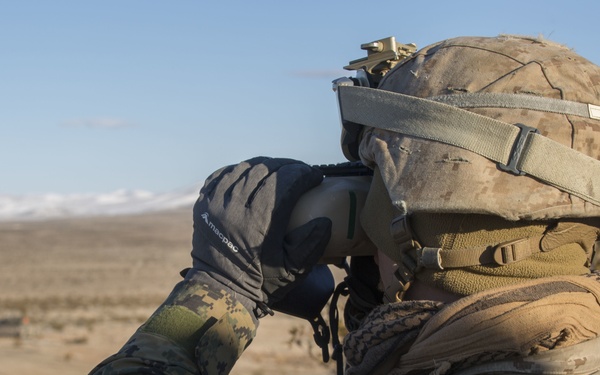 U.S. Marines, JGSDF soldiers call for fire at National Training Center 19-04