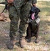 Philippine working dogs train along side US service members.