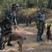 Philippine working dogs train with US servicemembers