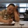 First class petty officer exams