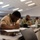 First class petty officer exams