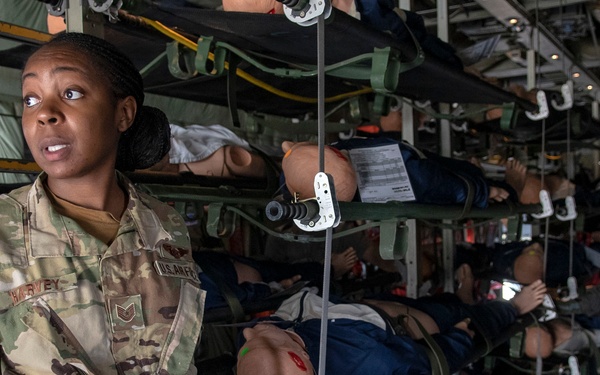 Multiple ANG units particpate in aeromedical evacuation training during PATRIOT South 19
