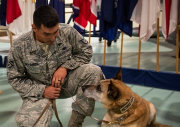 Double dog retirement