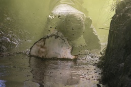 Getting Muddy