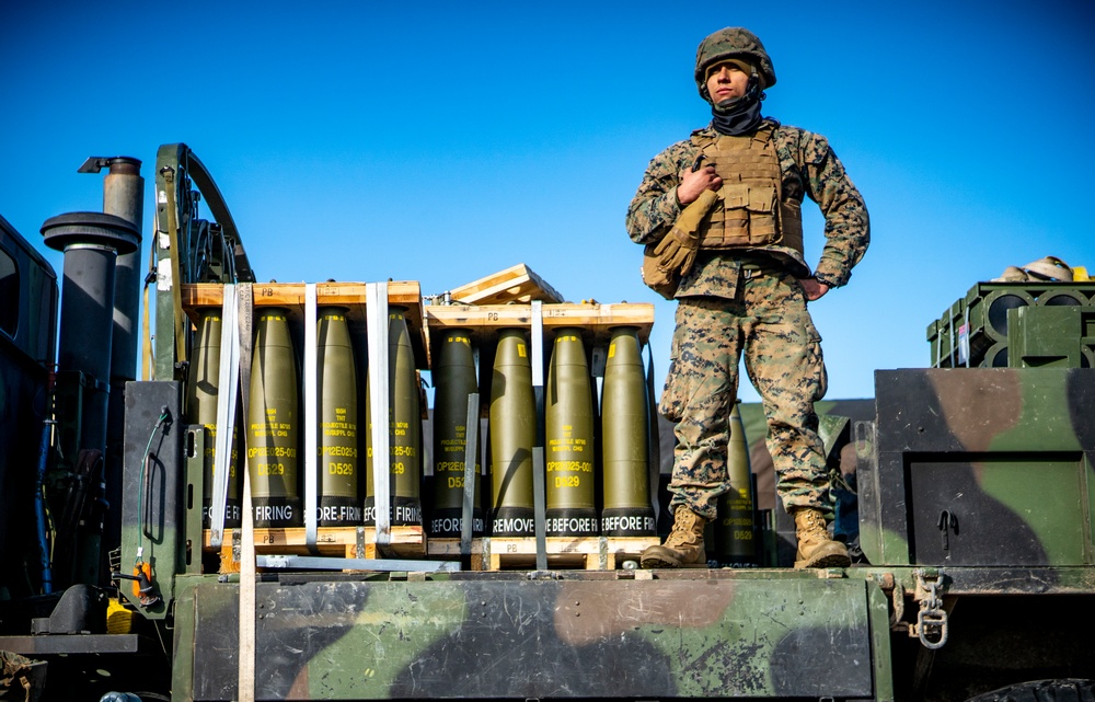 3rd Battalion, 14th Marines Fire M777 Howitzers During Exercise Dynamic Front 19