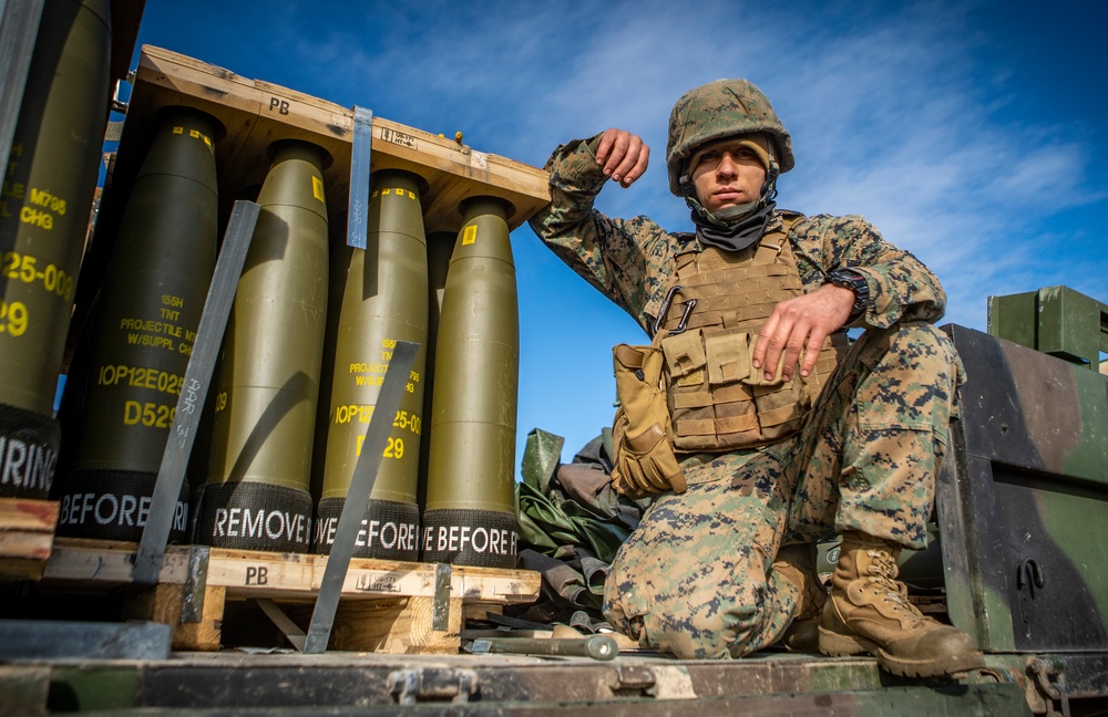 3rd Battalion, 14th Marines Fire M777 Howitzers During Exercise Dynamic Front 19