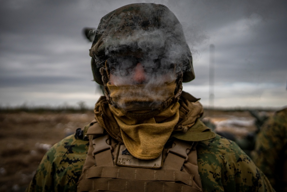 3rd Battalion, 14th Marines Fire M777 Howitzers During Exercise Dynamic Front 19