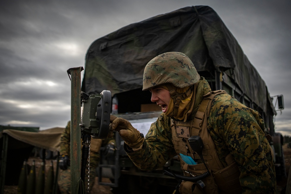 3rd Battalion, 14th Marines Fire M777 Howitzers During Exercise Dynamic Front 19