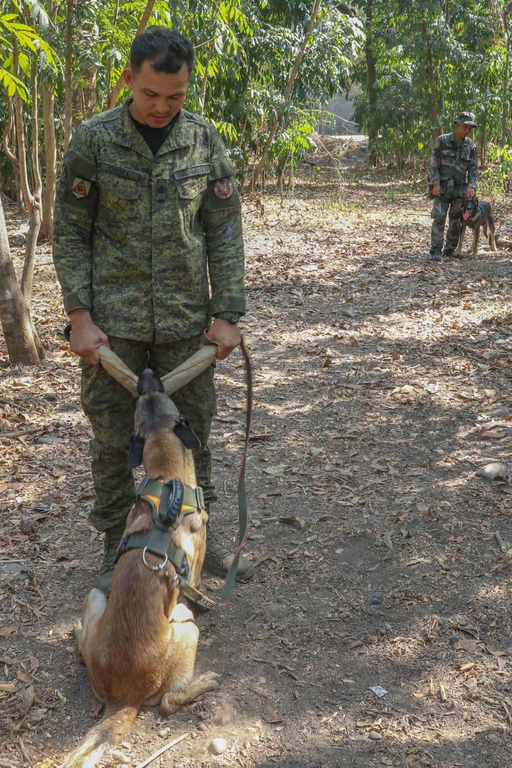 U.S. and Filipino Army swap training techniques for working Dogs