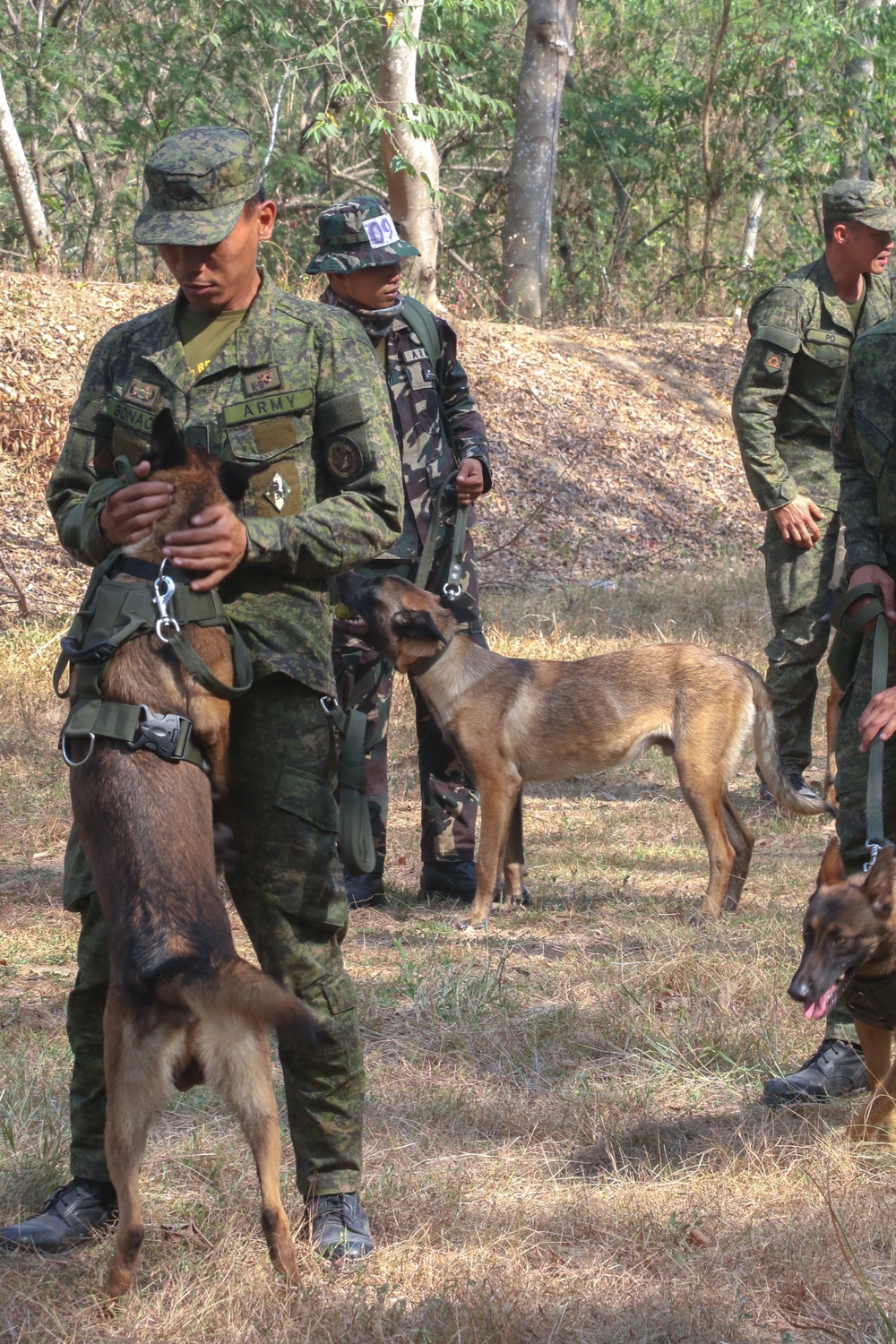 U.S. and Filipino Army swap training techniques for working Dogs