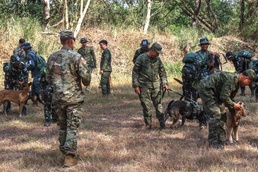 U.S. and Filipino Army swap training techniques for working Dogs