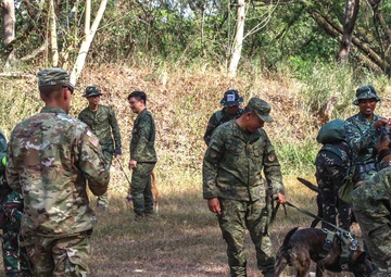 U.S. and Filipino Army swap training techniques for working Dogs