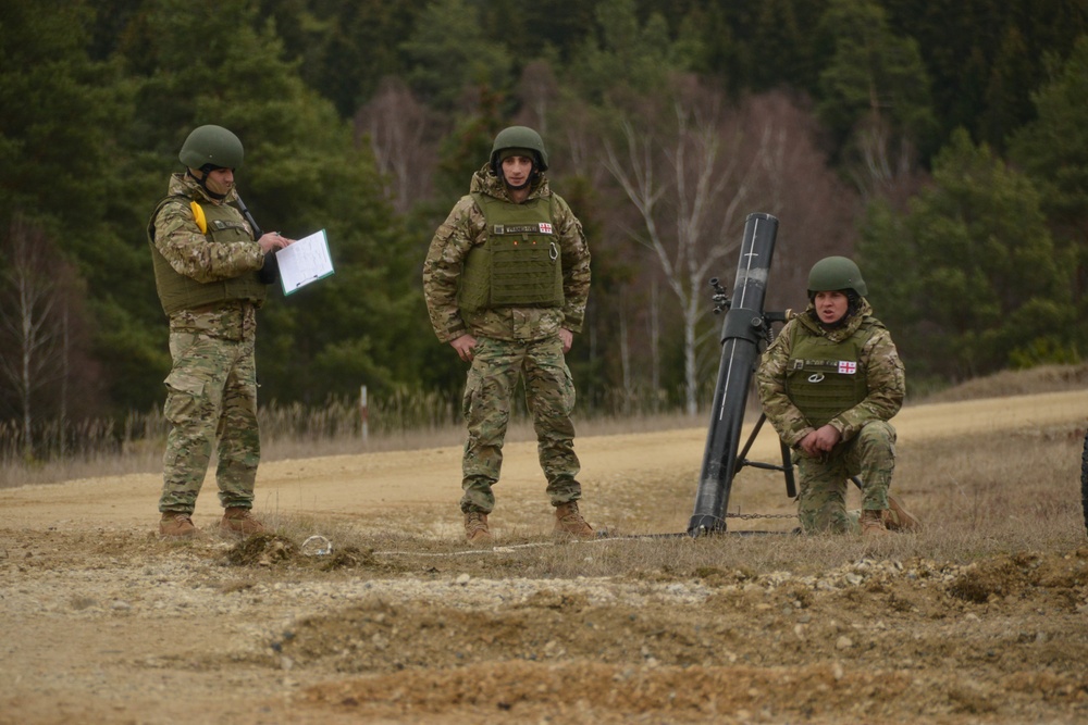 Dynamic Front 19 Georgia