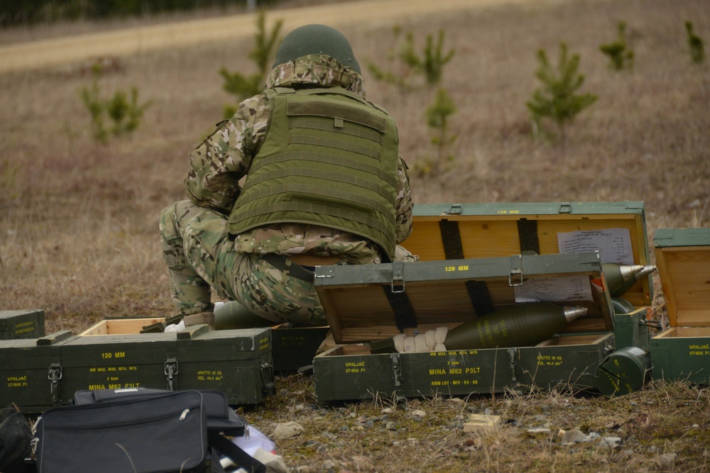 Dynamic Front 19 Georgia