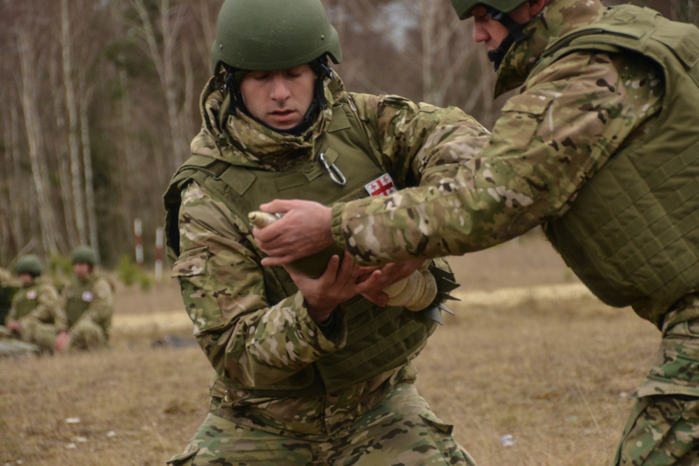 Dynamic Front 19 Georgia