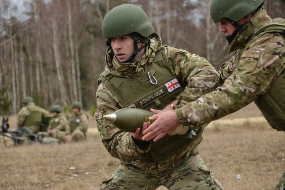 Dynamic Front 19 Georgia