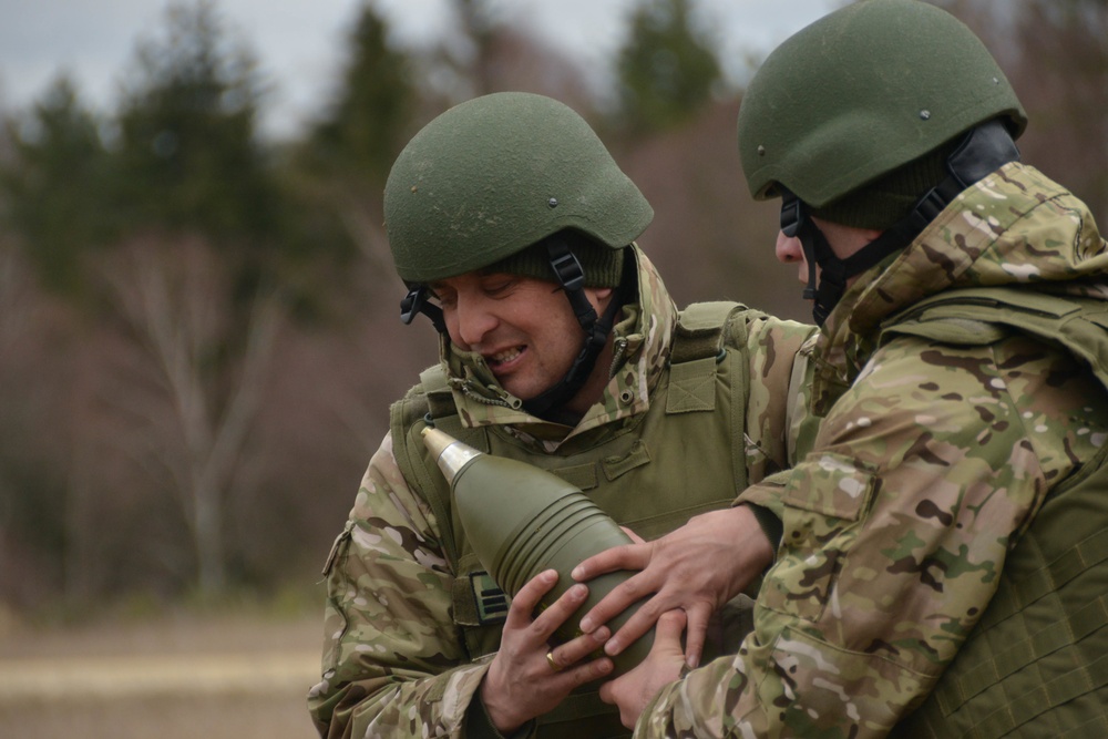 Dynamic Front 19 Georgia