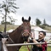 Not just horsing around