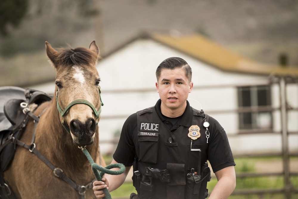 Not just horsing around