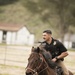Not just horsing around