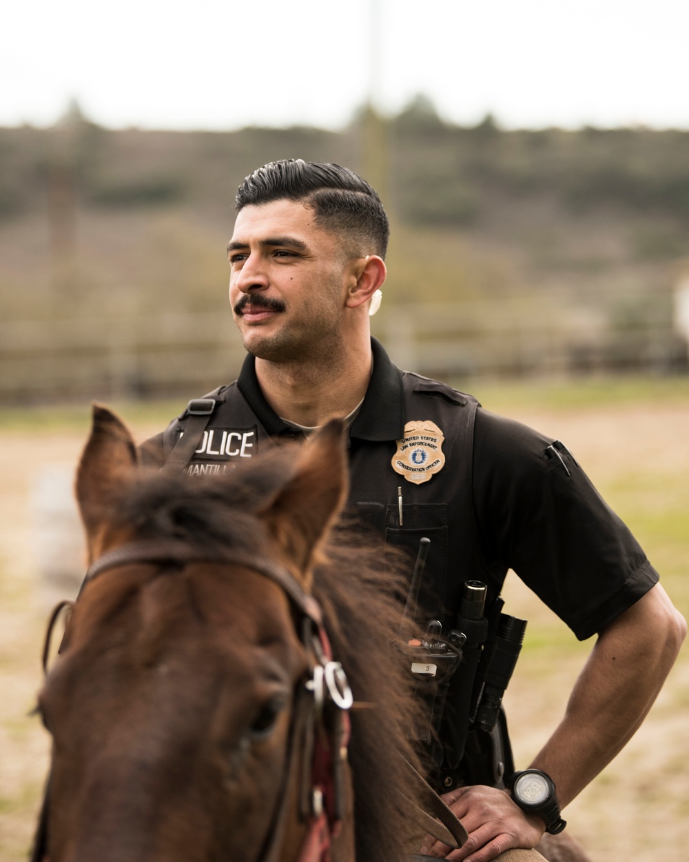 Not just horsing around