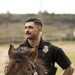 Not just horsing around