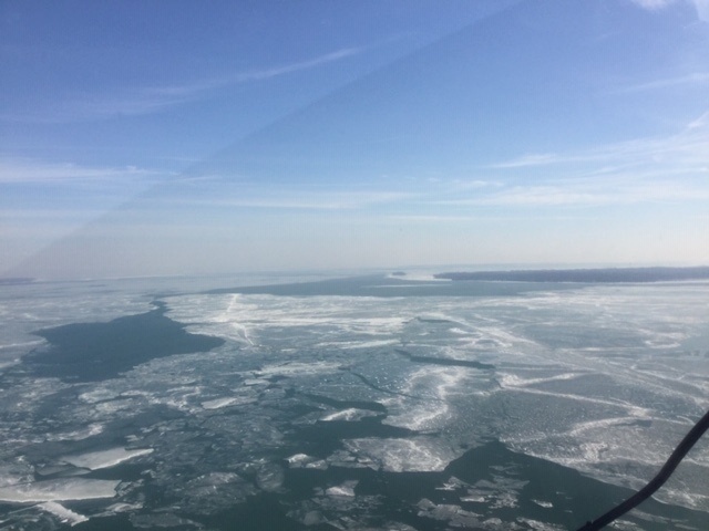 Aerial view of ice floes in western Lake Erie