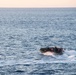 U.S. Sailors conduct small boat training