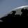 F-16's provide essential support for U.S., coalition forces in Afghanistan