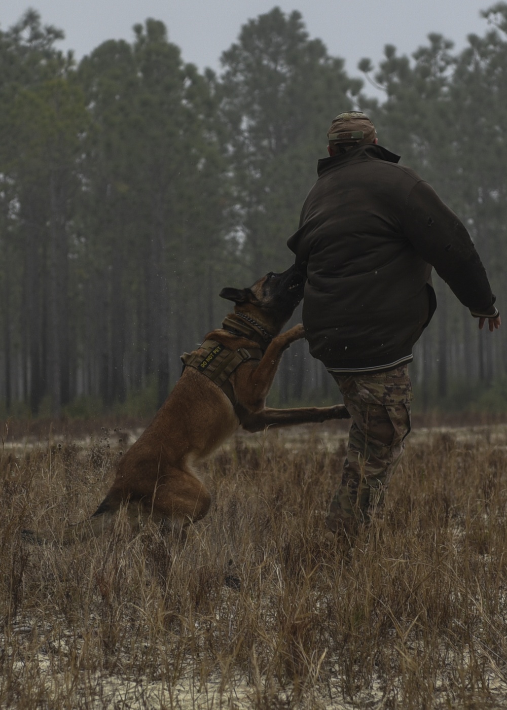 Security forces K-9 handlers visit Hurlburt to sniff out explosive training with EOD
