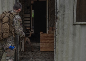 K-9 handlers visit Hurlburt to sniff out explosive training with EOD
