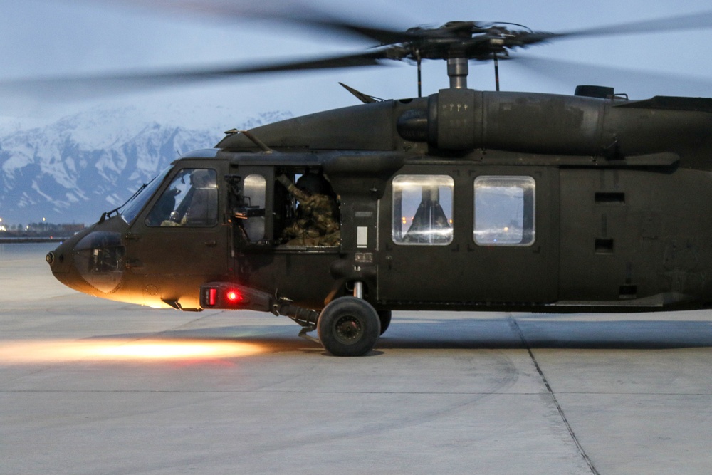 Operation Freedom’s Sentinel