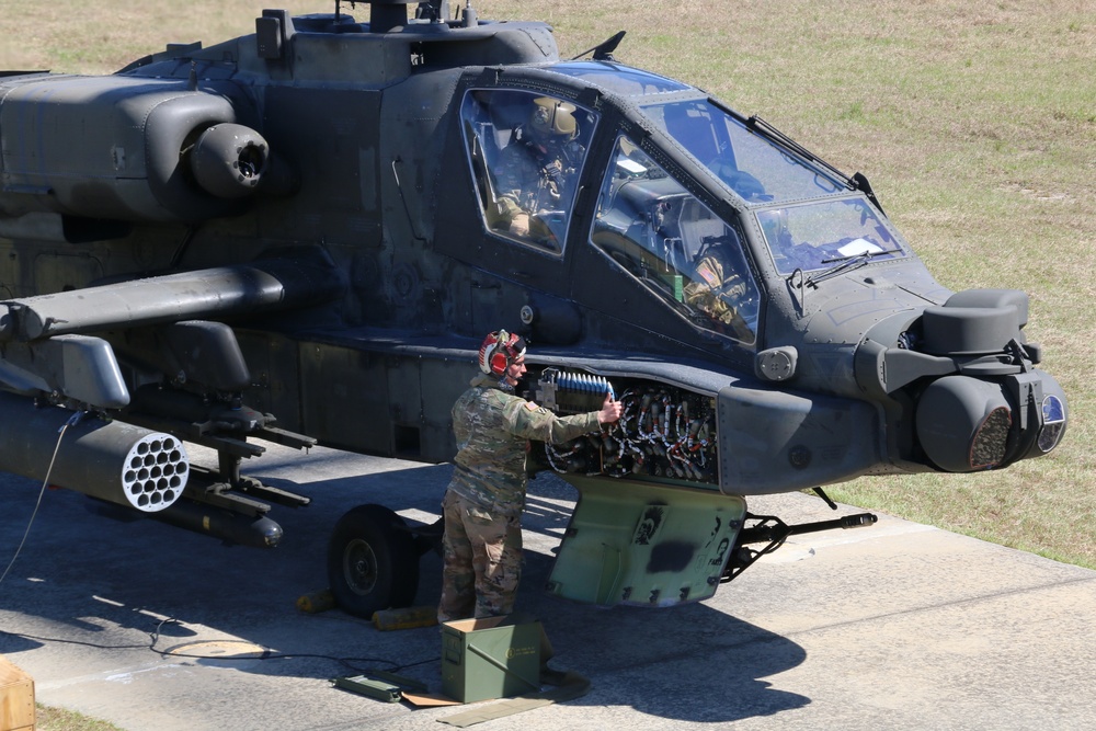 Marne Focus