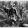 Hill of Heroes: Marking the 75th anniversary of the Battle of Hill 700
