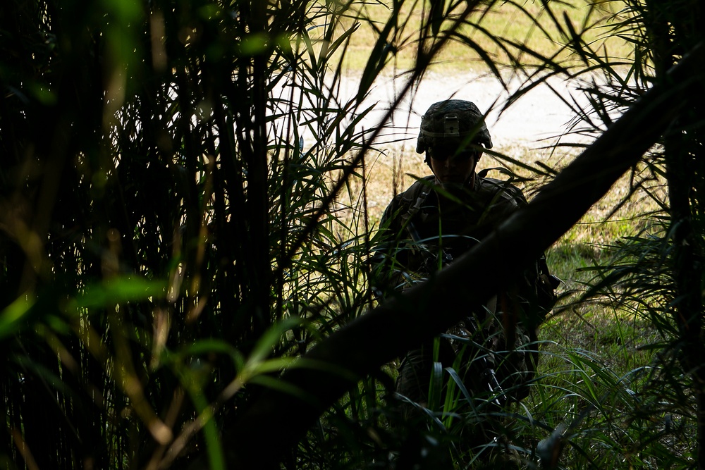 'China Marines' attack, refine platoon tactics during 31st MEU EABO exercise