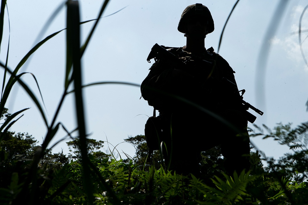 'China Marines' attack, refine platoon tactics during 31st MEU EABO exercise