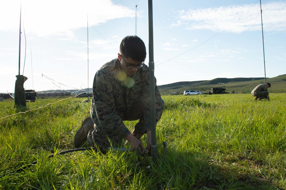 Combat Logistics Regiment 1 sets up antennas during Exercise Pacific Blitz 2019