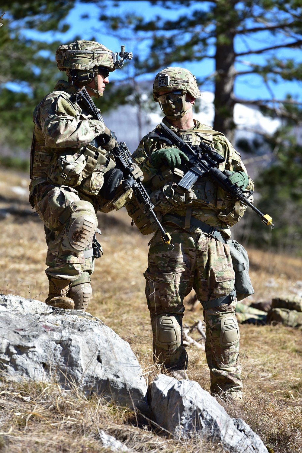 Exercise Lipizzaner V