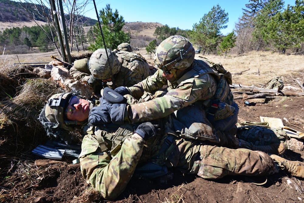 Exercise Lipizzaner V